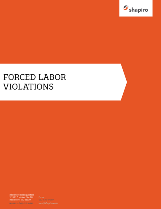 How to Avoid Forced Labor Violations