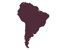South America Icon